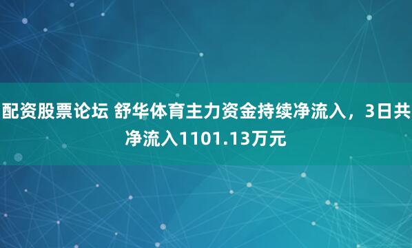 配资股票论坛 舒华体育主力资金持续净流入，3日共净流入1101.13万元