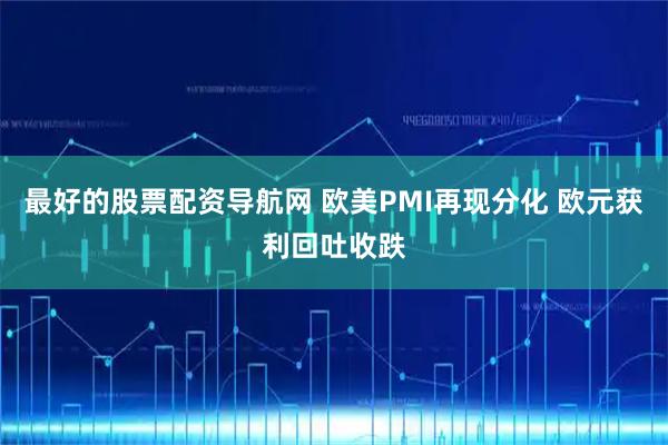 最好的股票配资导航网 欧美PMI再现分化 欧元获利回吐收跌