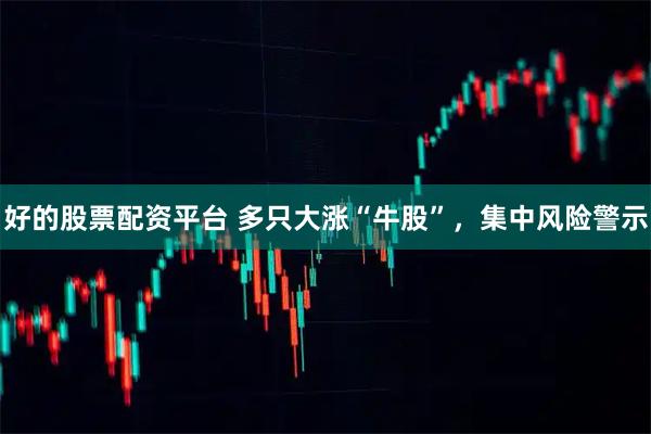 好的股票配资平台 多只大涨“牛股”，集中风险警示