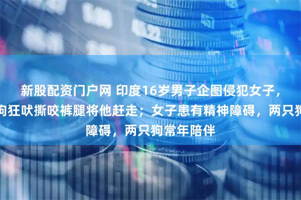 新股配资门户网 印度16岁男子企图侵犯女子,两只流浪狗狂吠撕咬裤腿将他赶走;女子患有精神障碍,两只狗常年陪伴