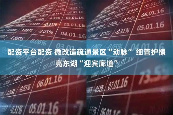 配资平台配资 微改造疏通景区“动脉” 细管护擦亮东湖“迎宾廊道”